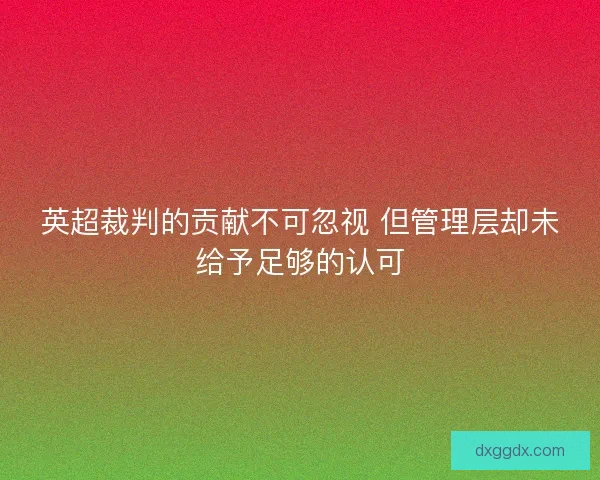 英超裁判的贡献不可忽视 但管理层却未给予足够的认可